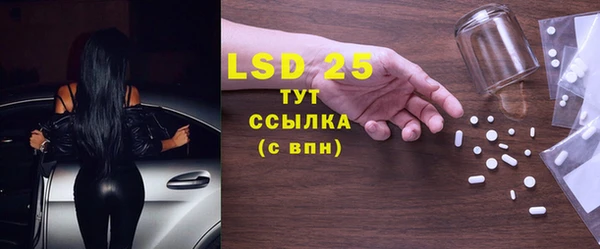 гидра Алексеевка
