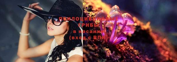 шишки Алексин