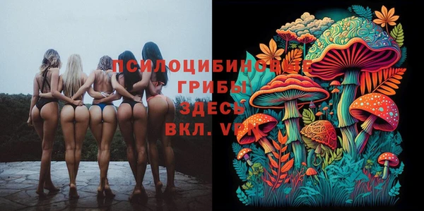 кокс Абдулино